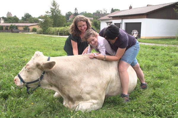 3. Platz 2019: Tiergesttzte Therapie