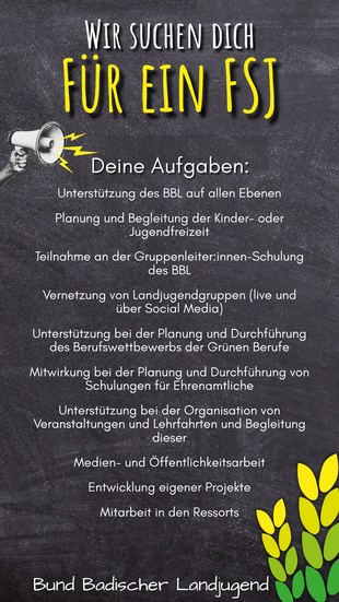 FSJ Werbung 2026